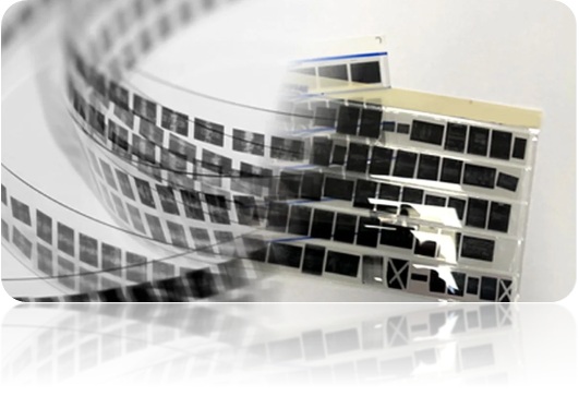 Microfilm-to-Digital Migration